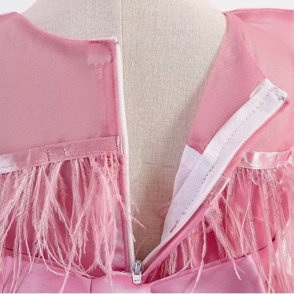 Luxury Pink Feather Lace Embroidered Dress 5046 - Picture 6 of 7